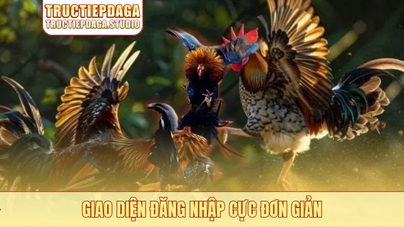 Giao diện đăng nhập cực đơn giản