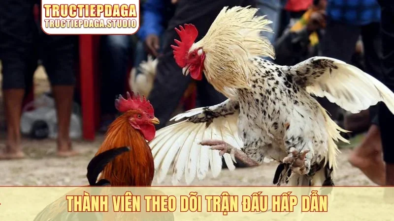 Thành viên theo dõi trận đấu hấp dẫn