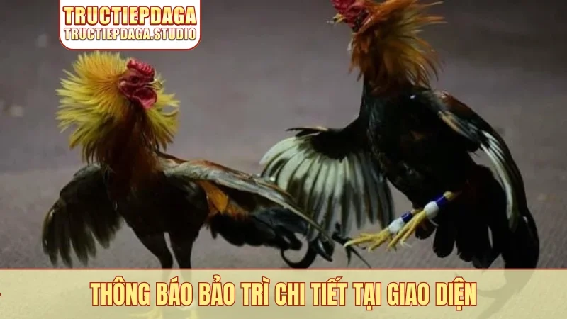 Thông báo bảo trì chi tiết tại giao diện
