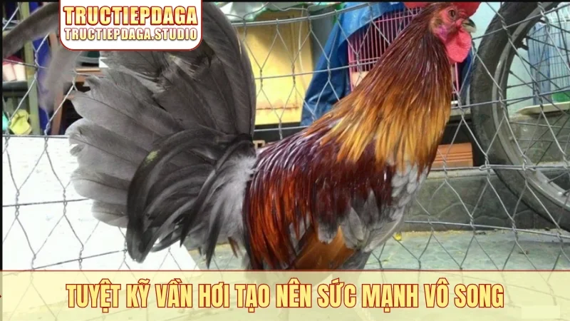 Tuyệt kỹ vần hơi tạo nên sức mạnh vô song